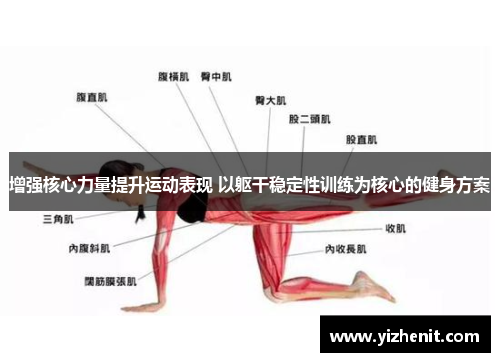 增强核心力量提升运动表现 以躯干稳定性训练为核心的健身方案