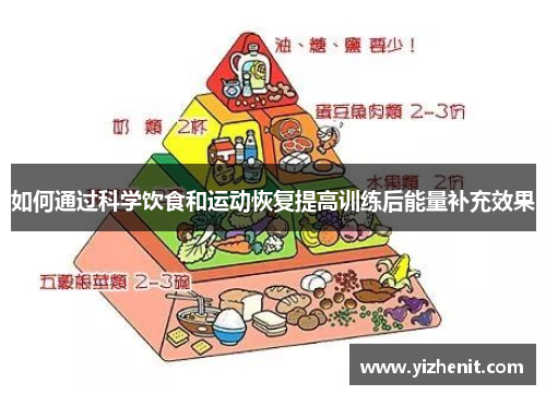 如何通过科学饮食和运动恢复提高训练后能量补充效果