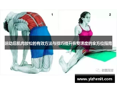 运动后肌肉放松的有效方法与技巧提升恢复速度的全方位指南