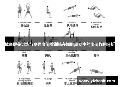 体育健美训练与高强度间歇训练在增肌周期中的协同作用分析