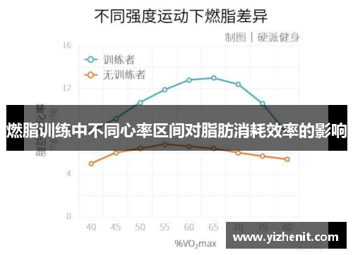 燃脂训练中不同心率区间对脂肪消耗效率的影响