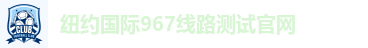 纽约国际967线路测试官网